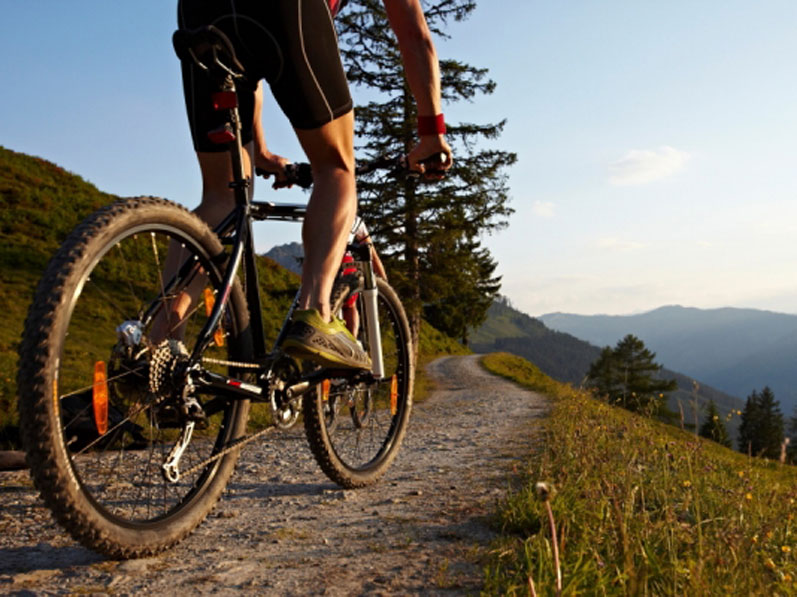 Salzburg Mountain Bike Tour Day Trip