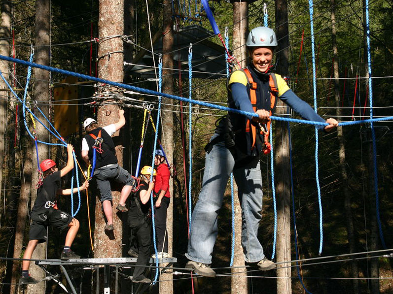 Tree Climbing Parkour